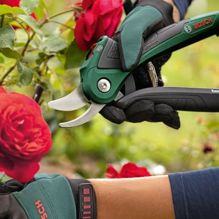 Easyprune - Bosch Wireless Puning