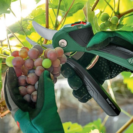 Easyprune - Bosch Wireless Puning