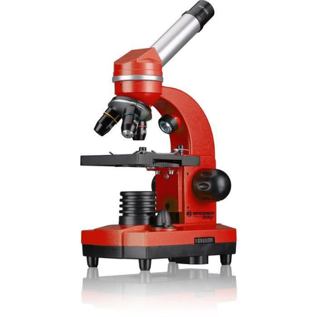 Microscopio per studenti BIOLUX SEL - BRESSER JUNIOR - ingrandimento 40x-1600x - kit di sperimentazione - rosso