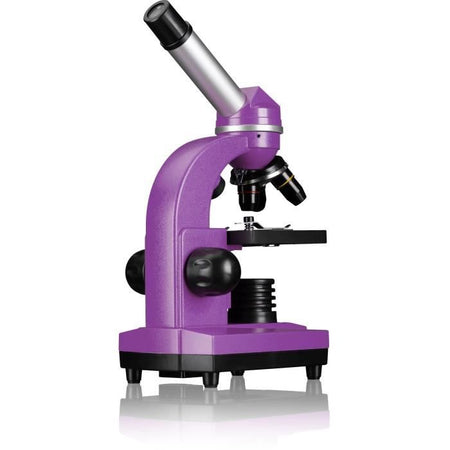 Microscopio per studenti BIOLUX SEL - BRESSER JUNIOR - ingrandimento 40x-1600x - kit per esperimenti - viola