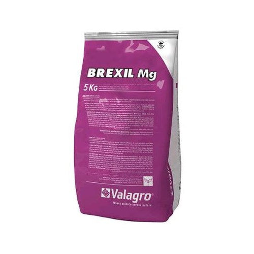 Brexil Mg Kg.5 Concime a Base di Elementi Secondari Syngenta