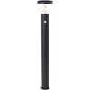 Paletto da esterno - BRILLIANT - TULIP - LED e solare - Rilevatore di movimento - Acciaio inossidabile e plastica - 4 W - Nero