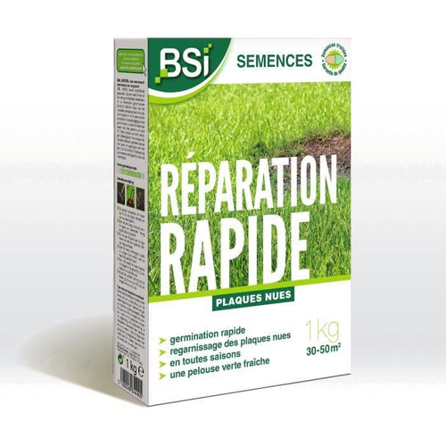 BSI - Semi d'erba - Riparazione rapida - Con rivestimento protettivo - Alta qualità - Fino a 50 m - 1 Kg