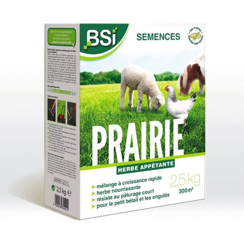 BSI - Semi di erba - Prato - Alta qualità - Ampia area - Fino a 375 m - 7,5 kg