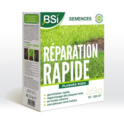 BSI - Semi d'erba - Riparazione rapida - Con rivestimento protettivo - Alta qualità - Fino a 125 m - 2,5 kg