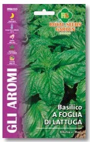 Basilico A Foglia Di Lattuga gr.5 Semi Royal Seeds