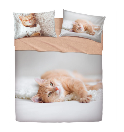 Bassetti completo Lenzuola Copriletto Matrimoniale IMAGE Gatto 2411S68