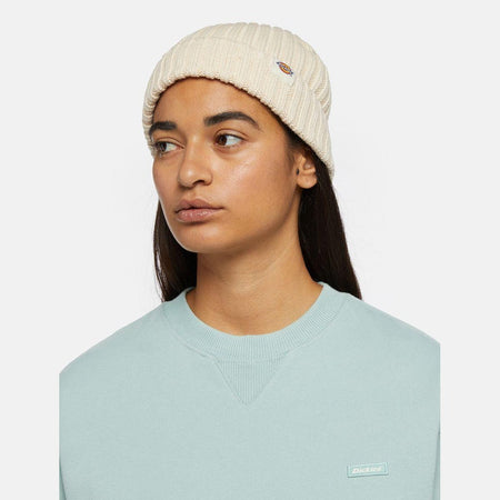Beanie Dickies Lockwood whitecap grey