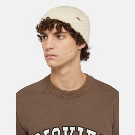 Beanie Dickies Lockwood whitecap grey