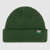 Beanie Dickies Woodworth Pine