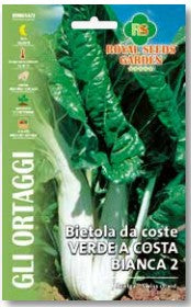 Bietola Da Coste Verde A Costa Bianca 2