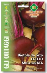 Bietola Da Orto Egitto Migliorata