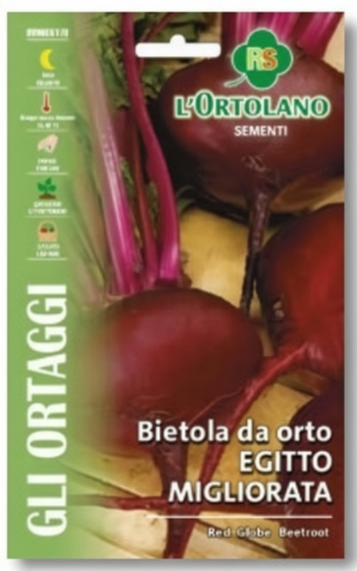 Bietola da Orto Egitto Migliorata Semi Royal Seeds