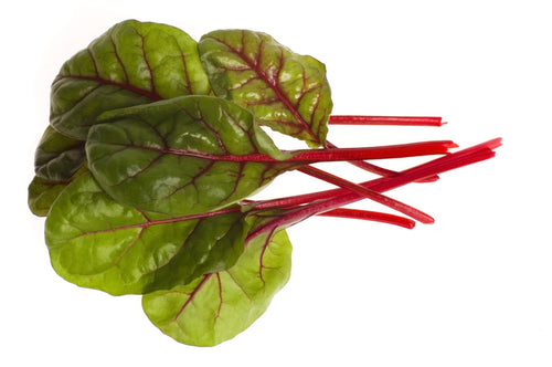 Semi di bietola da coste Rhubarb chard piante per orto e giardino coltivazione domestica e professionale