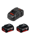 Bosch professional batterie 18v 5,0ah (x2) e caricabatterie 3165140839341