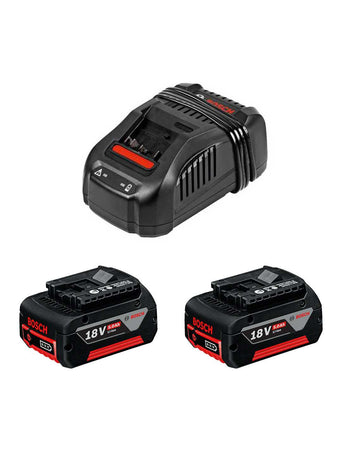 Bosch professional batterie 18v 5,0ah (x2) e caricabatterie 3165140839341