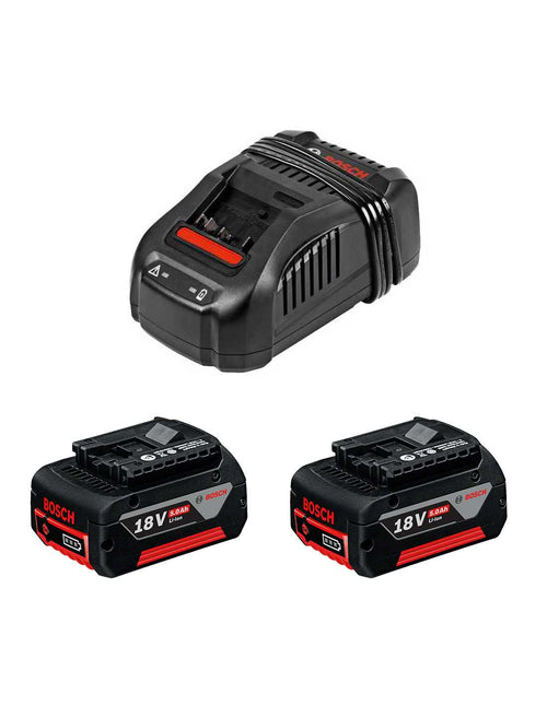 Bosch professional batterie 18v 5,0ah (x2) e caricabatterie 3165140839341