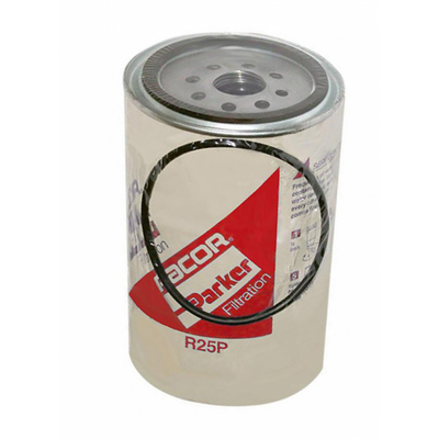 Cartuccia Ricambio R25P 30 Micron