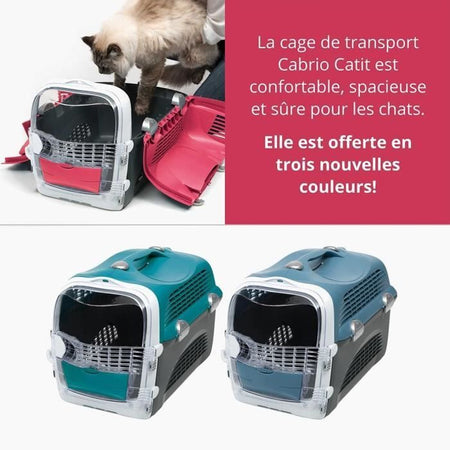 CAT IT Cabrio Cabrio - Cherry Red - Per Cat