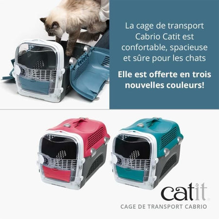 Cabrio Carrier Blu-Grigio