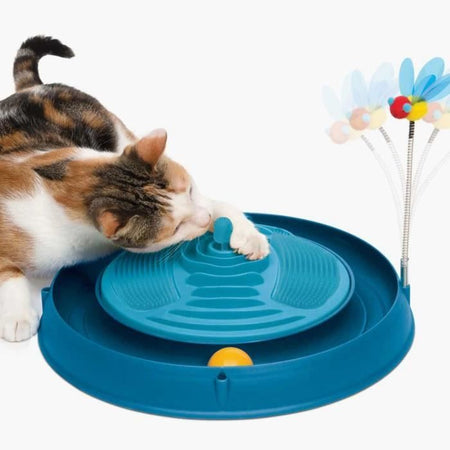 Gioca Circ. Palla w. catnip massa
