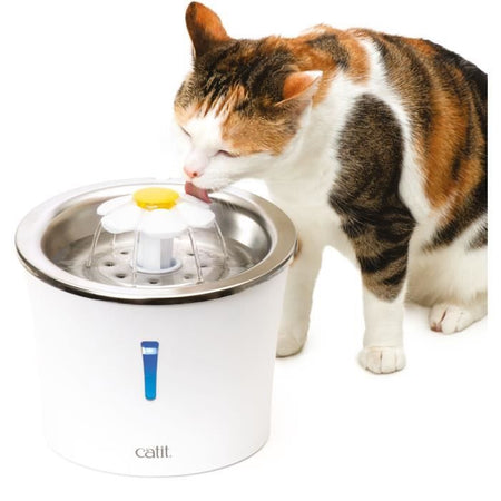 Fontanella per gatti Catit Flower - 3L - Parte superiore in acciaio inossidabile - Con LED - Bianco