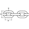 Catena Inox Genovese Ø Mm.3