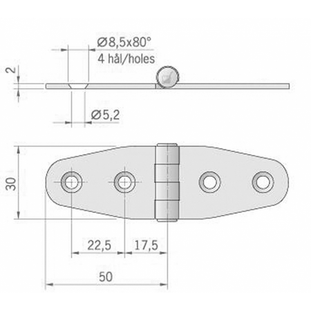 Cerniera Inox Mm.100X27