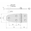 Cerniera Inox Mm.100X40