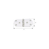 Cerniera Inox Mm. 85 X 30