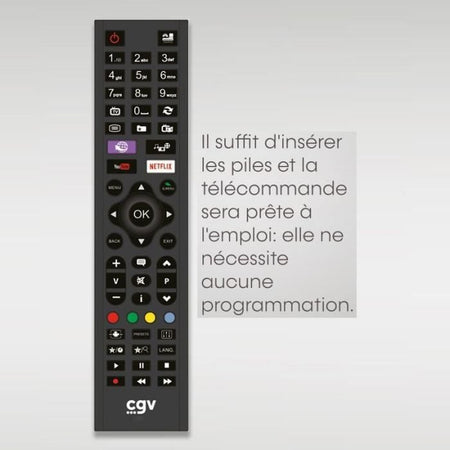 Telecomando sostitutivo - Condizioni generali - FIDELIO Hisense - Per televisori Hisense - Senza programmazione - Pronto all'uso