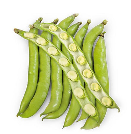 Fava Claro De Luna Kg.1 Semi Fito