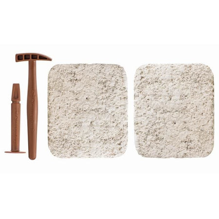 CLEMENTONI T-Rex e Trice