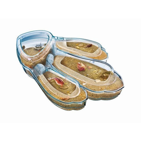 Clementoni - 52565 - Triops