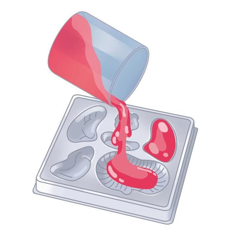 Laboratorio di anatomia CLEMENTONI Mini