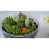 Terrarium Harry Potter - 19248 - Clementoni