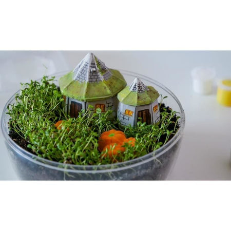 Terrarium Harry Potter - 19248 - Clementoni
