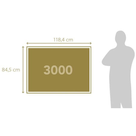 CLEMENTONI - 3000 pezzi - Le Case del Parlamento