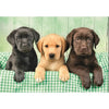 CLEMENTONI - Compact 1000 pezzi - Three Labs
