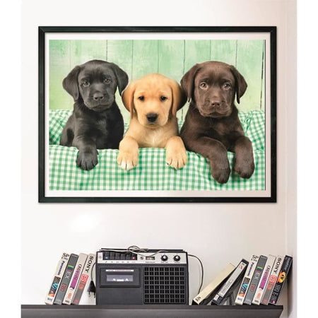 CLEMENTONI - Compact 1000 pezzi - Three Labs