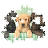 CLEMENTONI - Compact 1000 pezzi - Three Labs