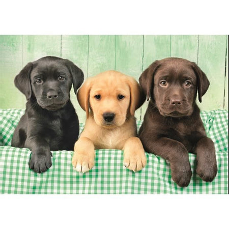CLEMENTONI - Compact 1000 pezzi - Three Labs