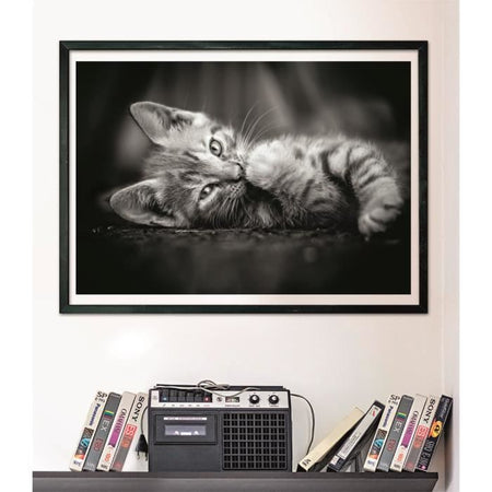 CLEMENTONI - Compact 1000 pezzi - Gattino