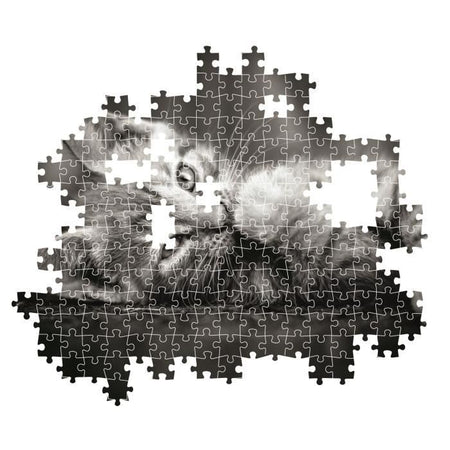 CLEMENTONI - Compact 1000 pezzi - Gattino