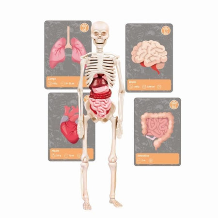 Clementoni - Scienza e gioco - La storia della vita sulla Terra - Realtà Virtuale - Più di 50 esperimenti - Made in Italy