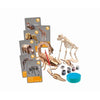 CLEMENTONI - Animals planet Reality - Scientific box - Esperimenti scientifici e attività virtuali - Stampi, vernici,