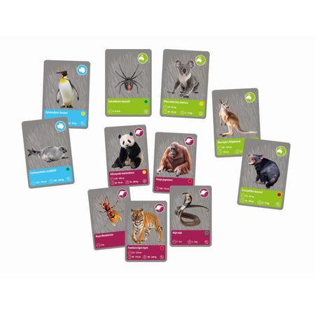 CLEMENTONI - Animals planet Reality - Scientific box - Esperimenti scientifici e attività virtuali - Stampi, vernici,