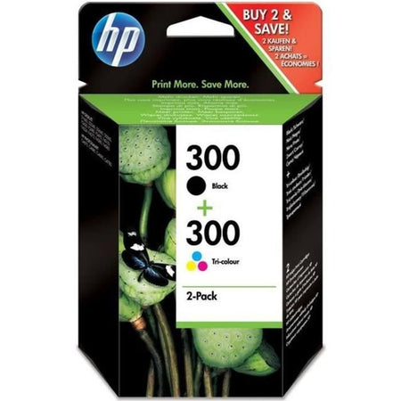 Pack 2 cartucce HP 300