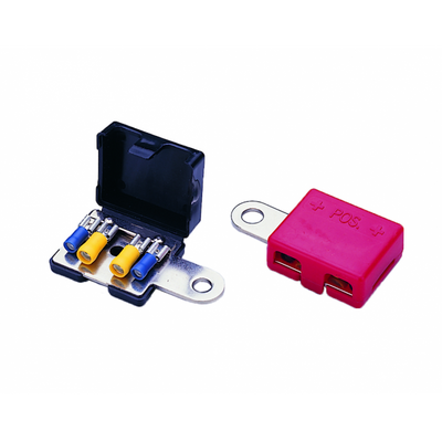 Coppia Terminali Batteria