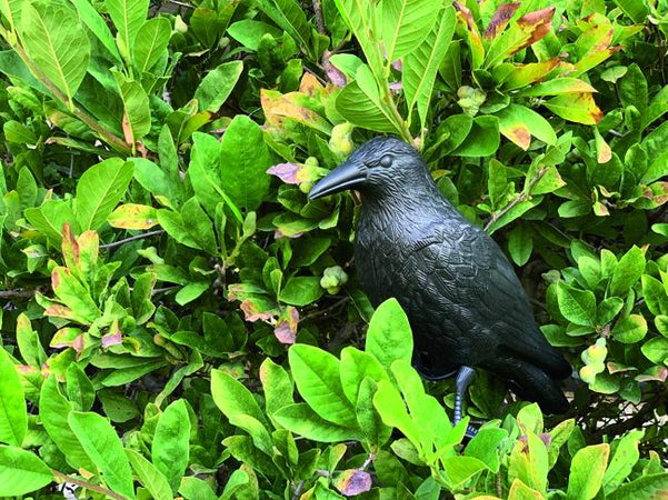 Dissuasore Per Volatili Mod. "CORVO"